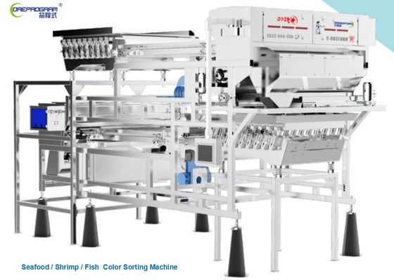qualità  Fish / Shrimp Sorting Machine Double Layer Belt Type 5400 pixels 220V 50Hz fabbrica