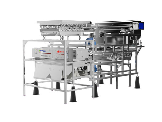 qualità  Customized Fruit Sorting Machine Belt Type 1.0-1.5T/H Blueberry Color Sorter fabbrica