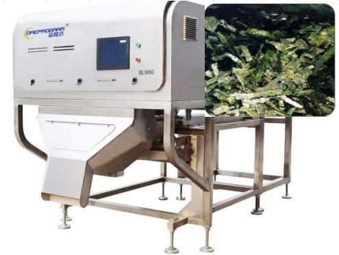 Selezionatore di colore di Nori Seaweed Vegetable Sorting Machine 1-3T/H Wolfberry