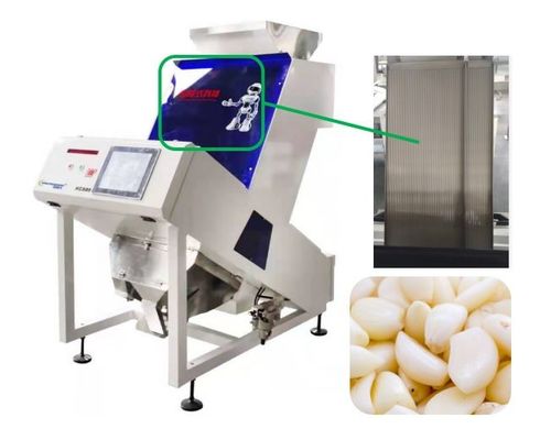 Selezionatore accurato di colore dell'aglio di riconoscimento un vaglio ad alta velocità di 0.6-1.2 t/h